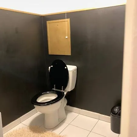 Appartement Moderne Et Spacieux Proche Paris Alfortville Esterno foto